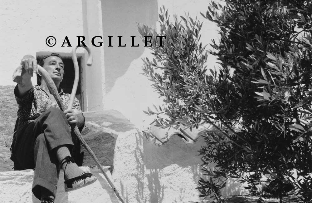 Photo Dali with 2 canes 5